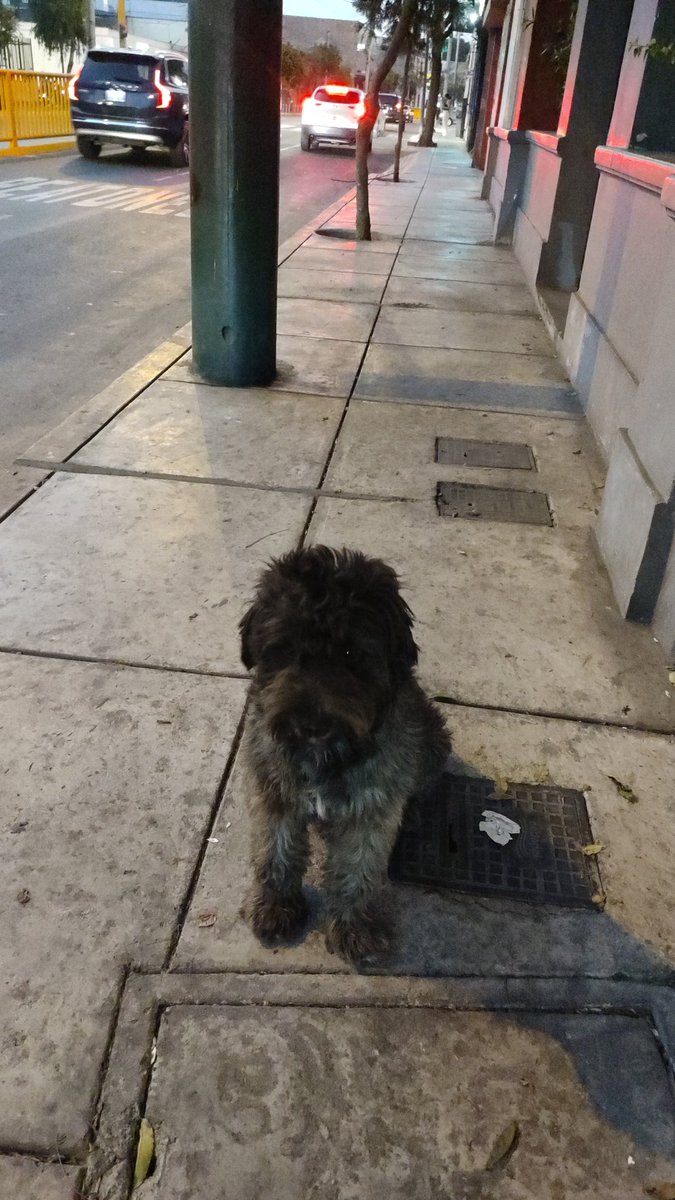 Sirius2021 tweet media