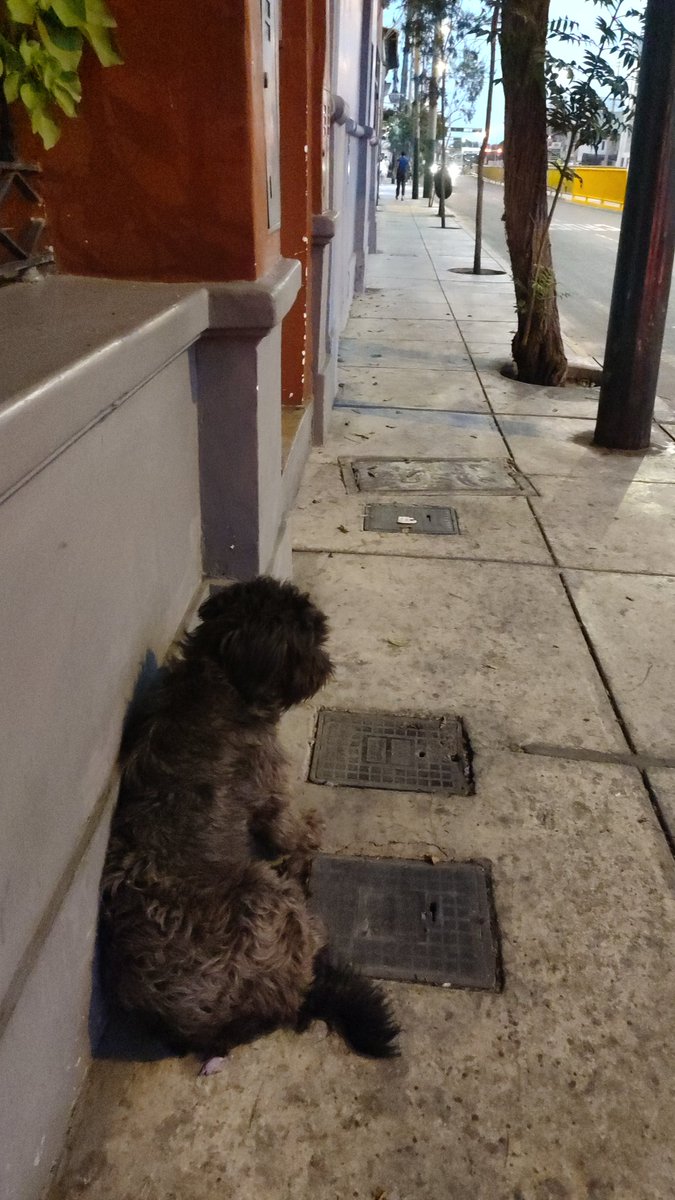 Sirius2021 tweet media