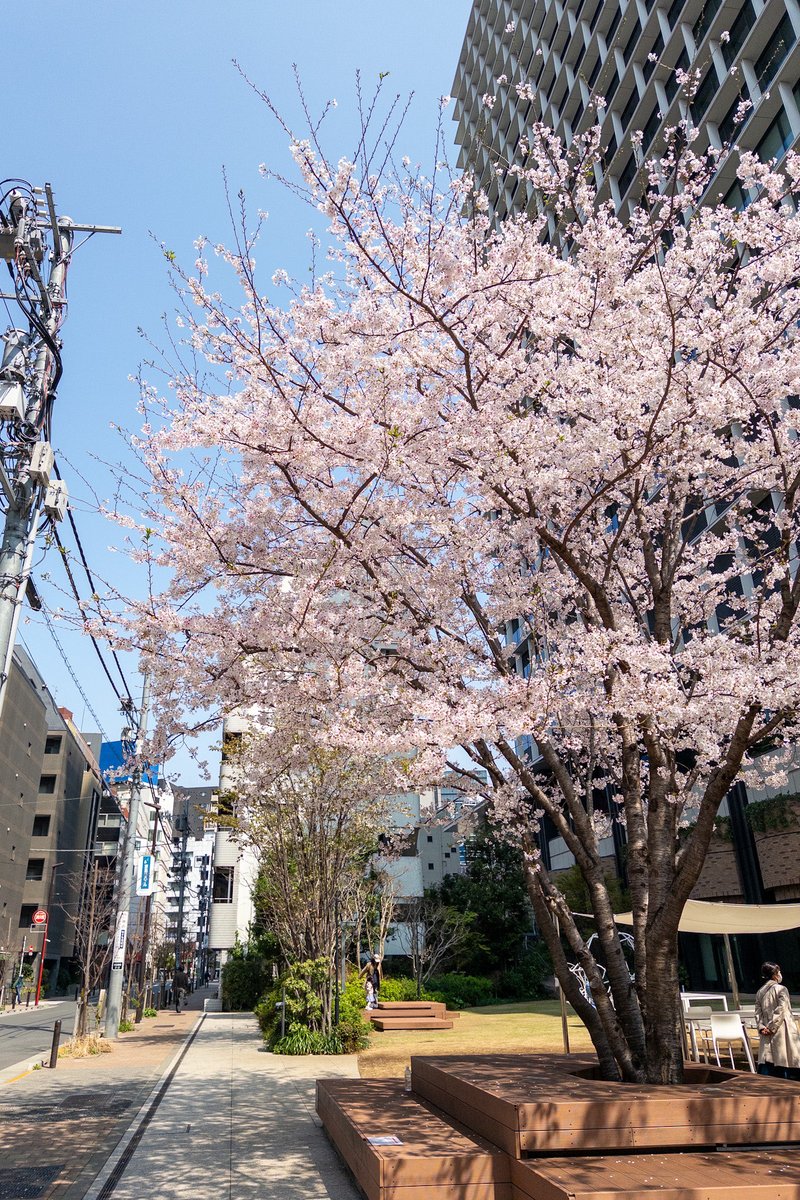 ろぐさん tweet media