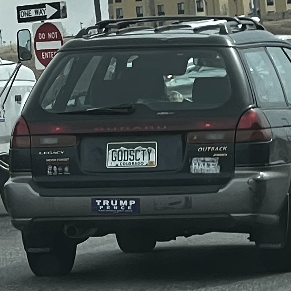 buthool (Alpha Male) tweet media