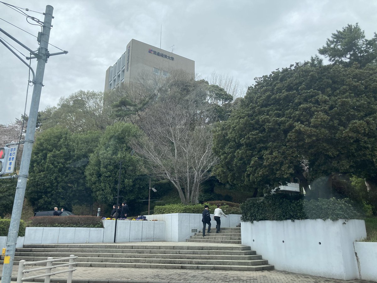 ぺーいしゃん🫑🕊️🐧⚽️⚾️。 tweet media