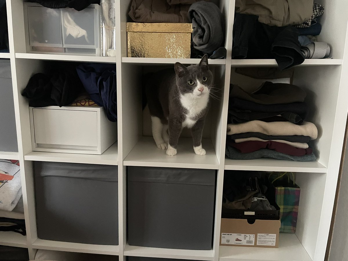 「老後のために」ってよく言うけど、
今の現実が不安で我慢して悩んでいるのになぜか老後が来るってちゃんと思ってる私だったり世の中がある。
ネガティブで超ポジティブだよね。
老後っていつから？って思うし。
老後が来るとは限らないよね。
面倒くさいからやめた　笑
おもしろいね。