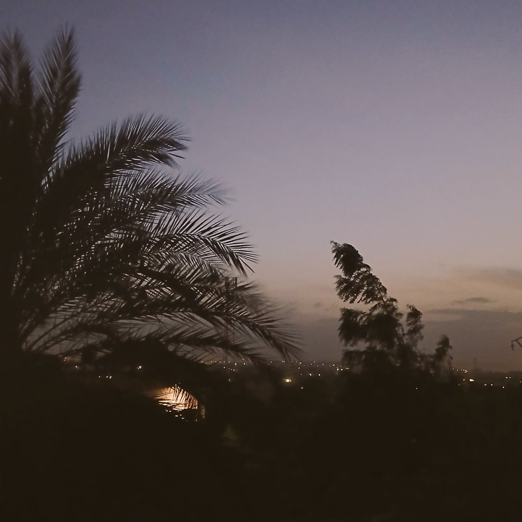 mustaard.እምሴፍቅረኛ tweet media