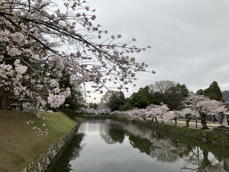 彦根城運営管理センター【公式】 tweet media