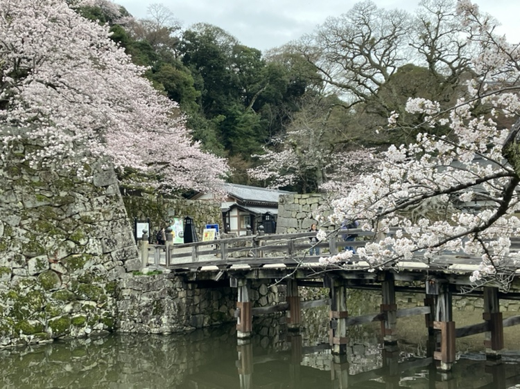 彦根城運営管理センター【公式】 tweet media