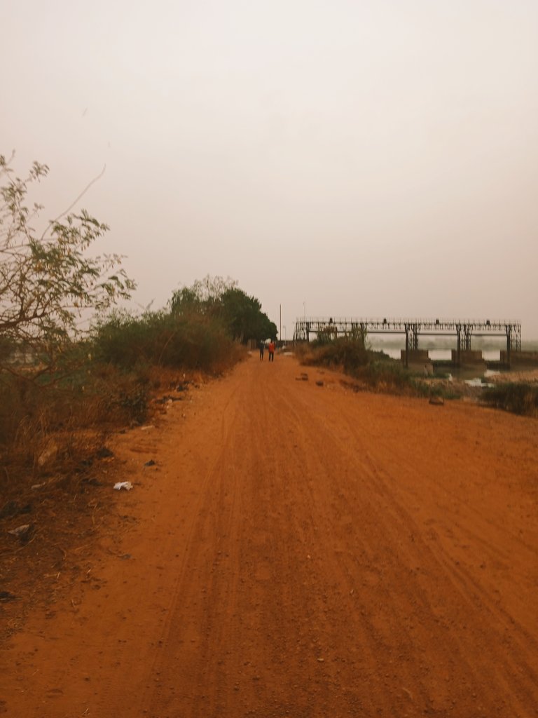 mustaard.እምሴፍቅረኛ tweet media