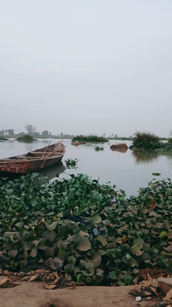 mustaard.እምሴፍቅረኛ tweet media