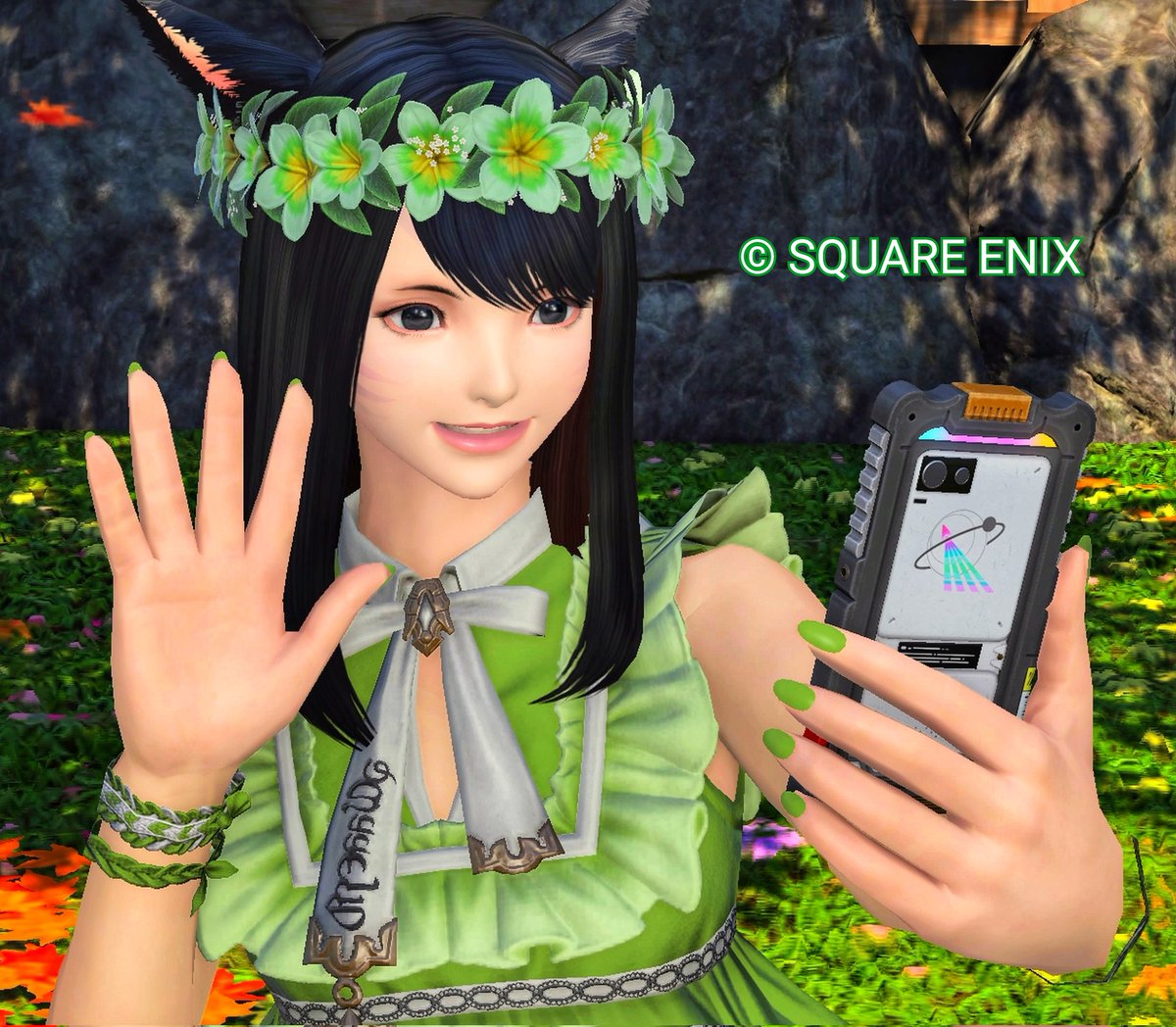 アネコ🌱🌿 tweet media