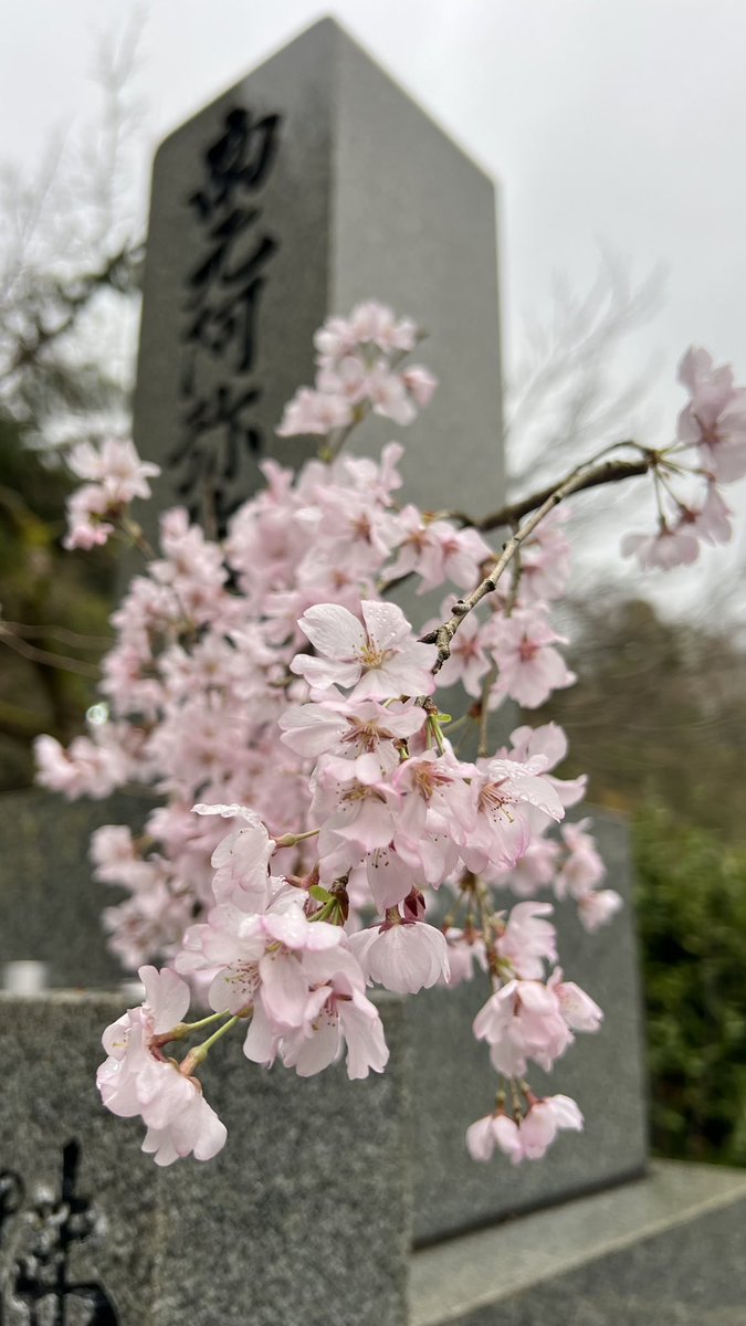 山川自動車 tweet media