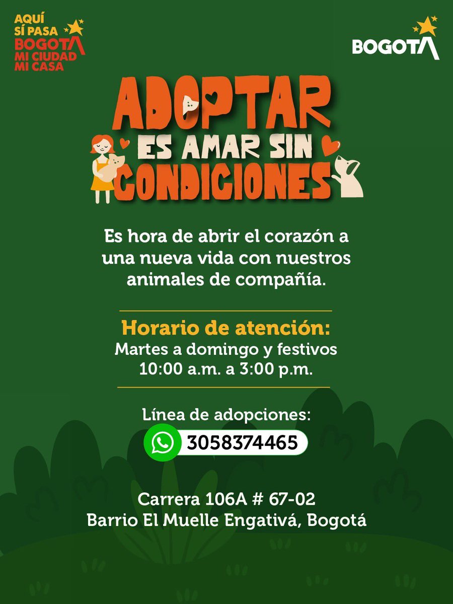 Protección Animal Bogotá tweet media