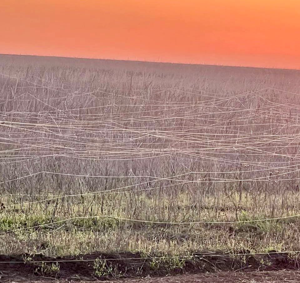 will moore tweet media