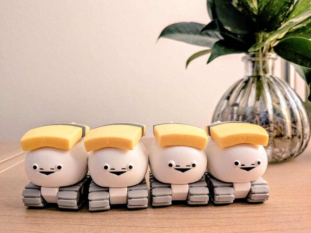 ポトス tweet media