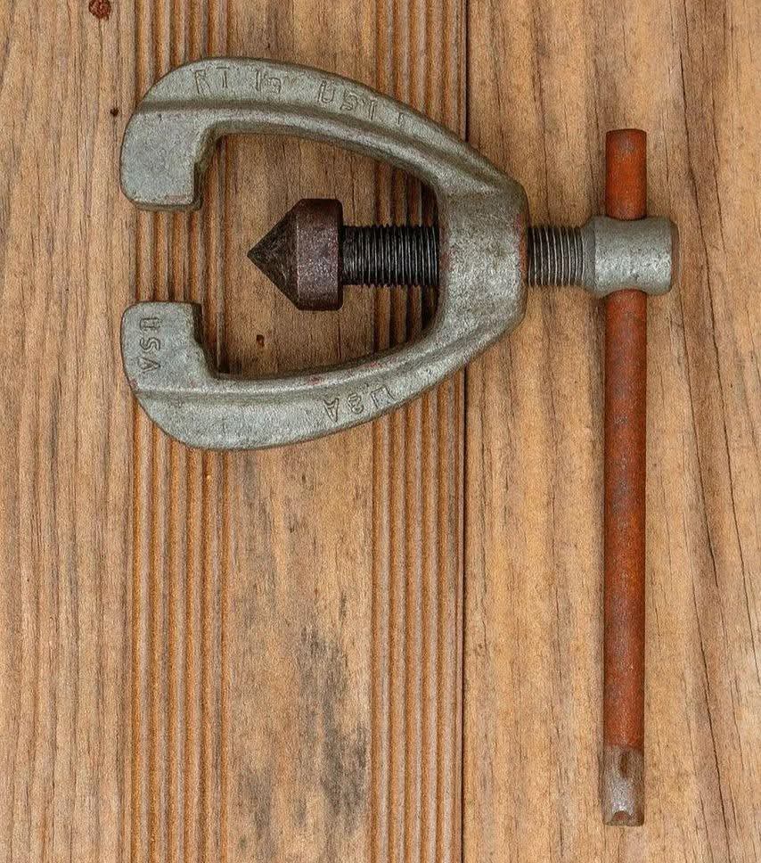 Mahik Rani tweet media