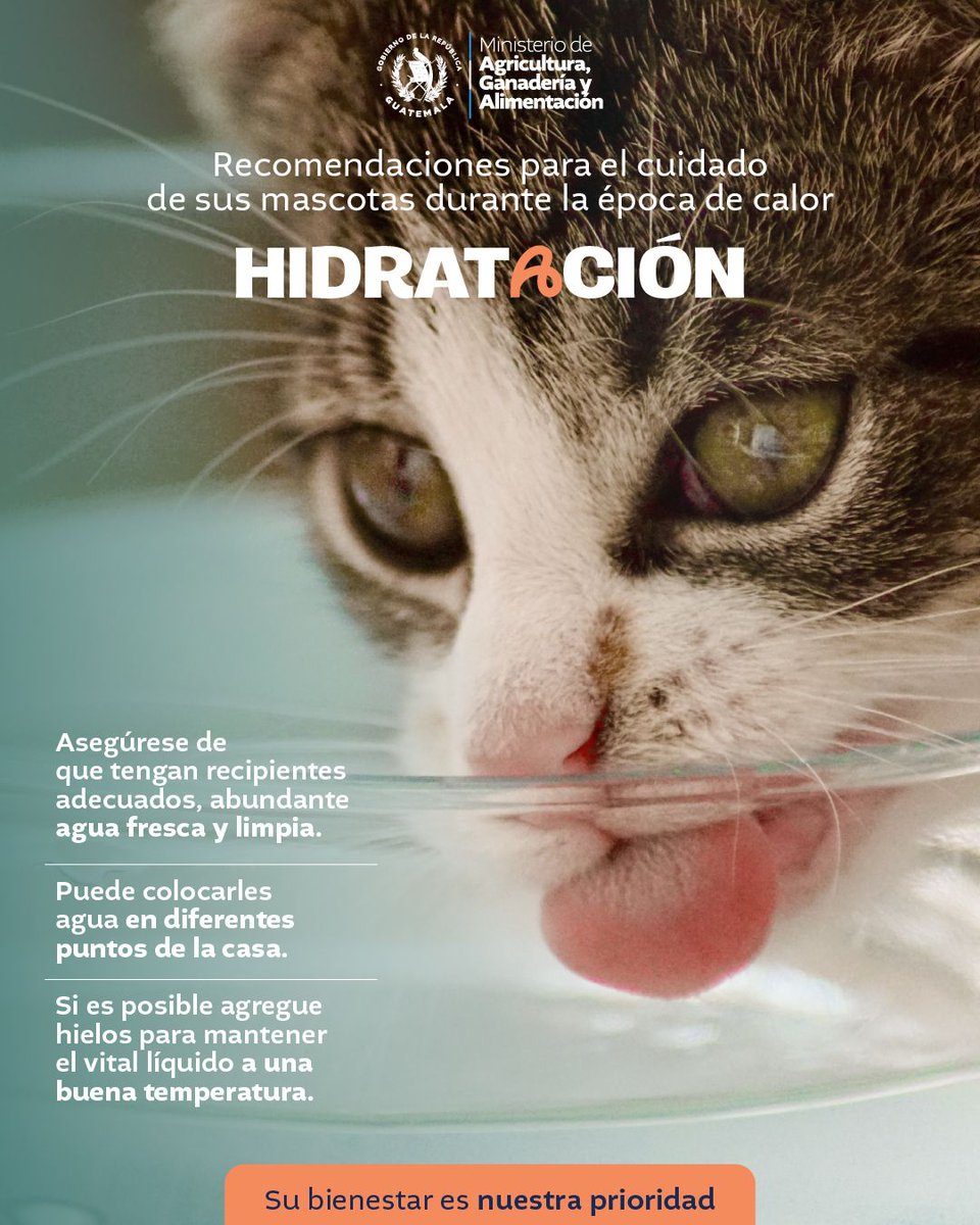 MAGA Guatemala tweet media