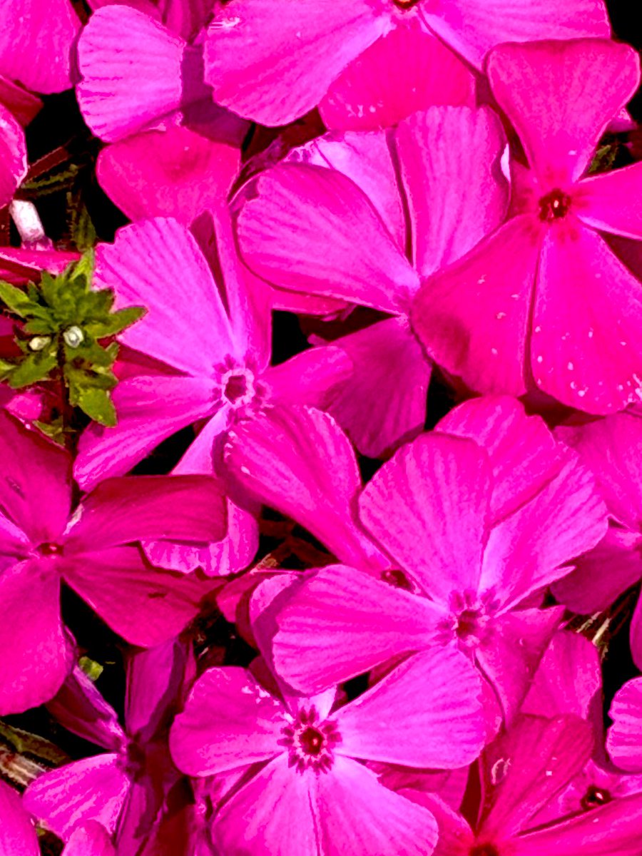 たくみん@いつも前向きブロガー tweet media