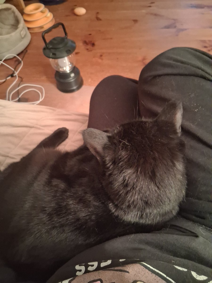 deborahblake tweet media