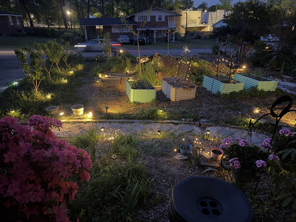 Zach Pippin tweet media