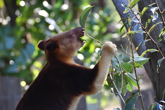 Michael Weinkauf tweet media