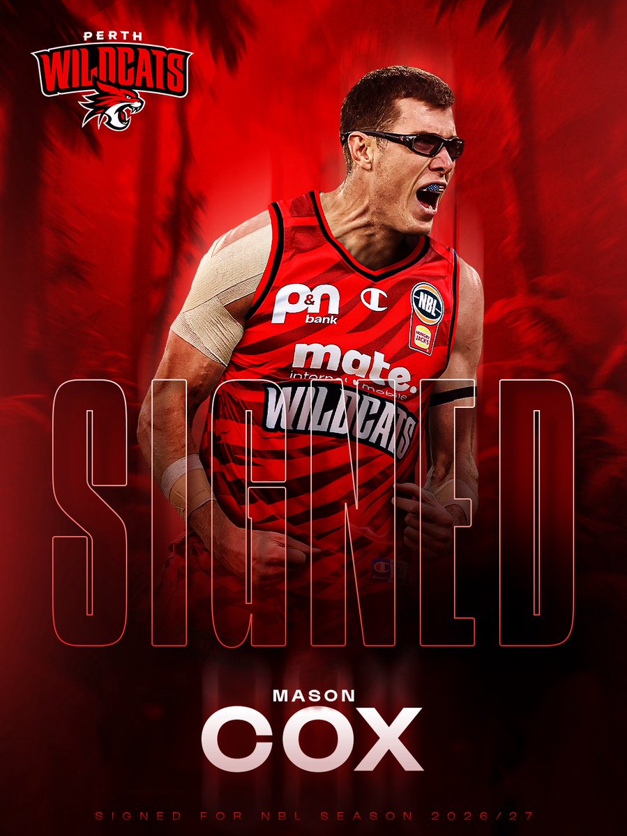 Perth Wildcats tweet media