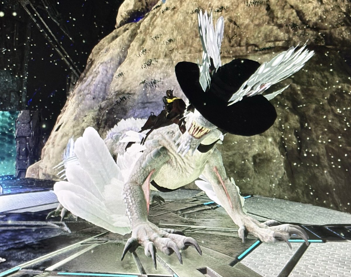 呉Go！！ tweet media