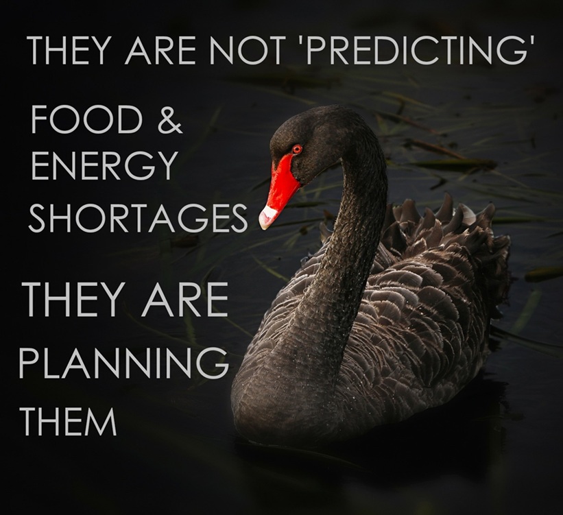 Jim Christian tweet media