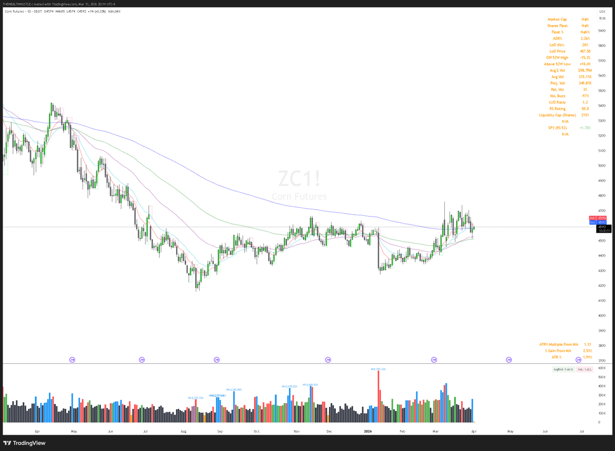 The Wealth Hustle tweet media