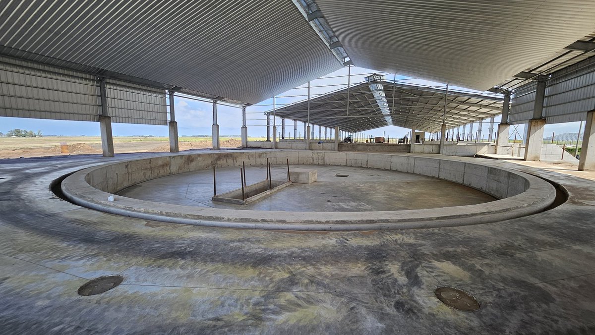 Tomas gortari tweet media