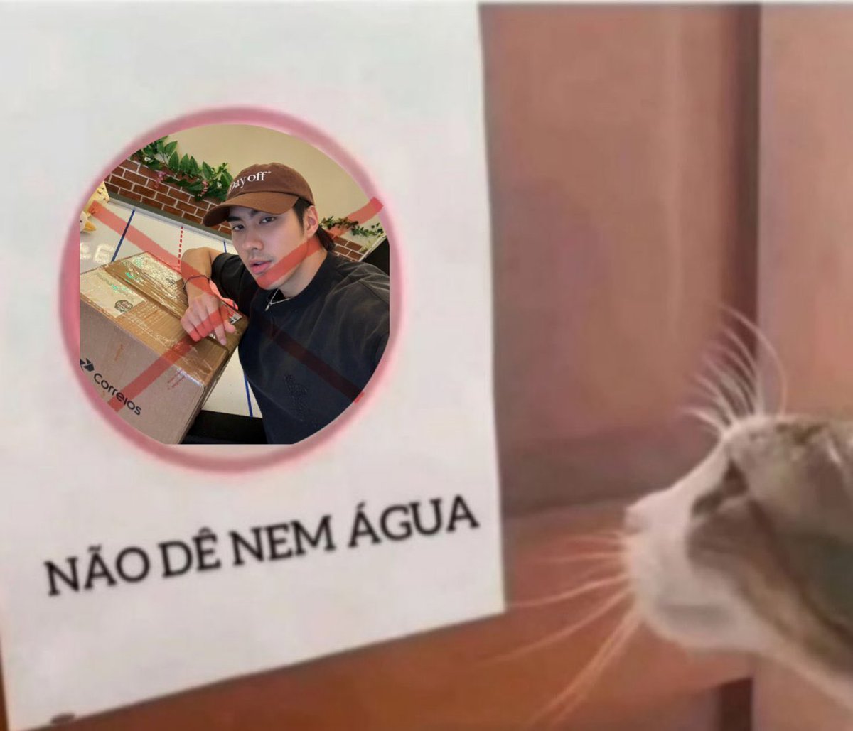 nara 🥦 tweet media