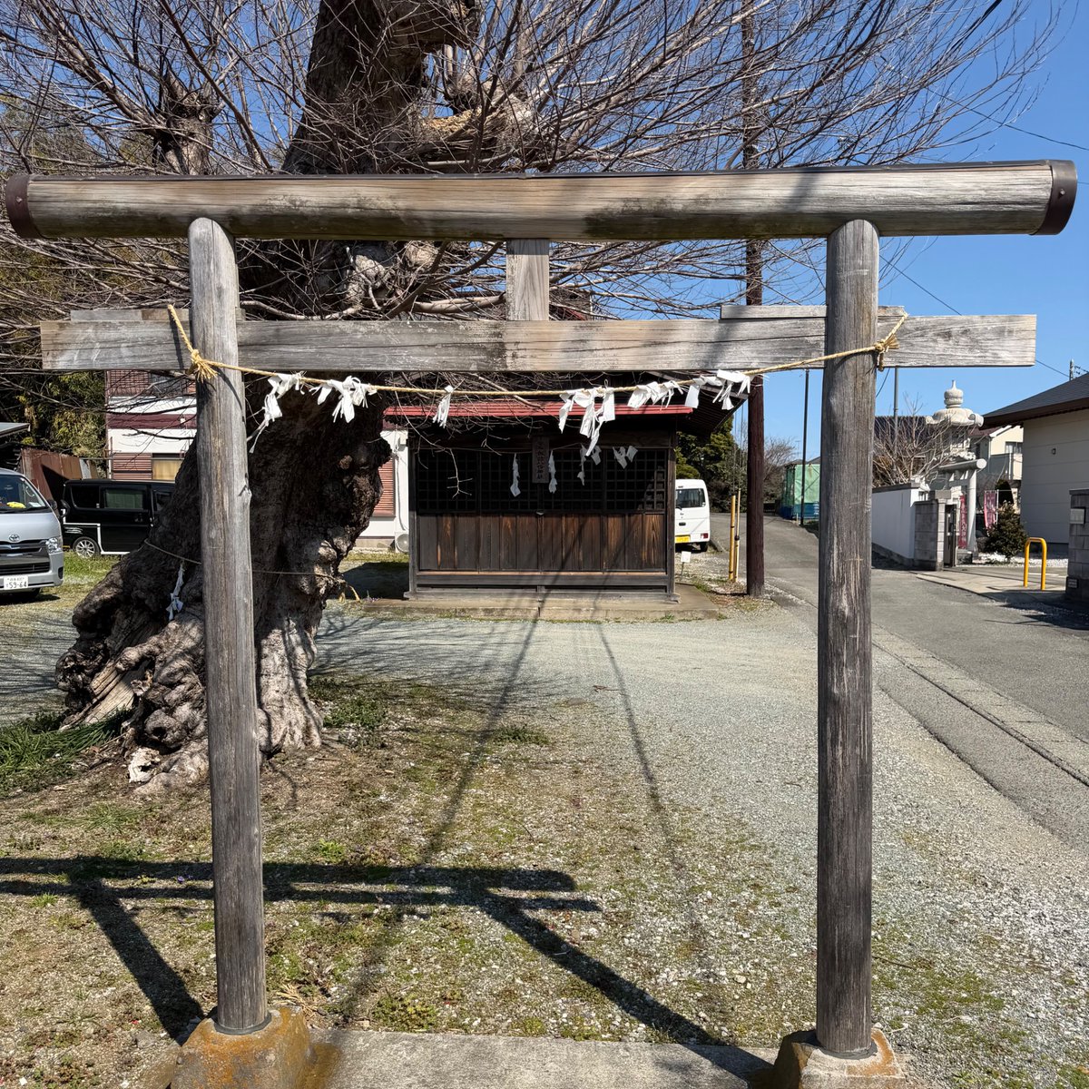 My Playful Town（MPT）-伊勢原市内在学中の大学生による町の楽しみ方- tweet media