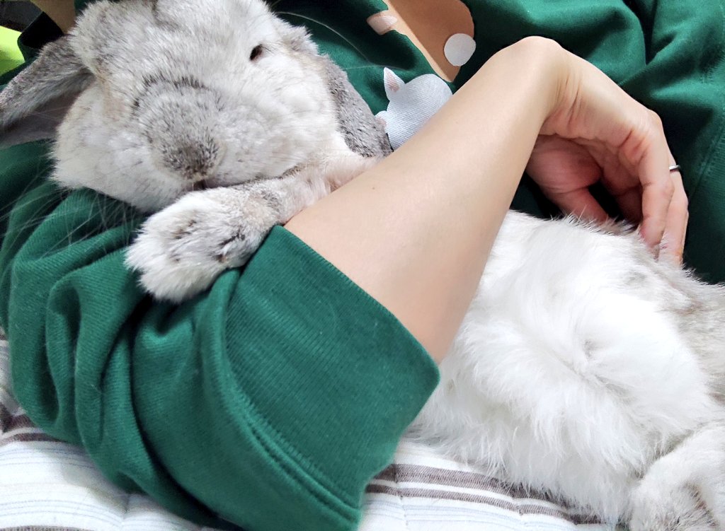 むみすけ tweet media