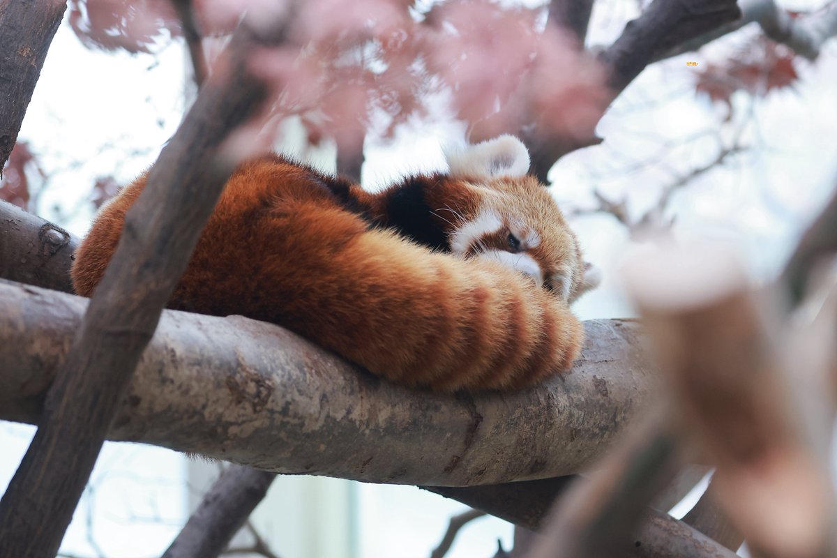 KWAN_UN🍊 tweet media