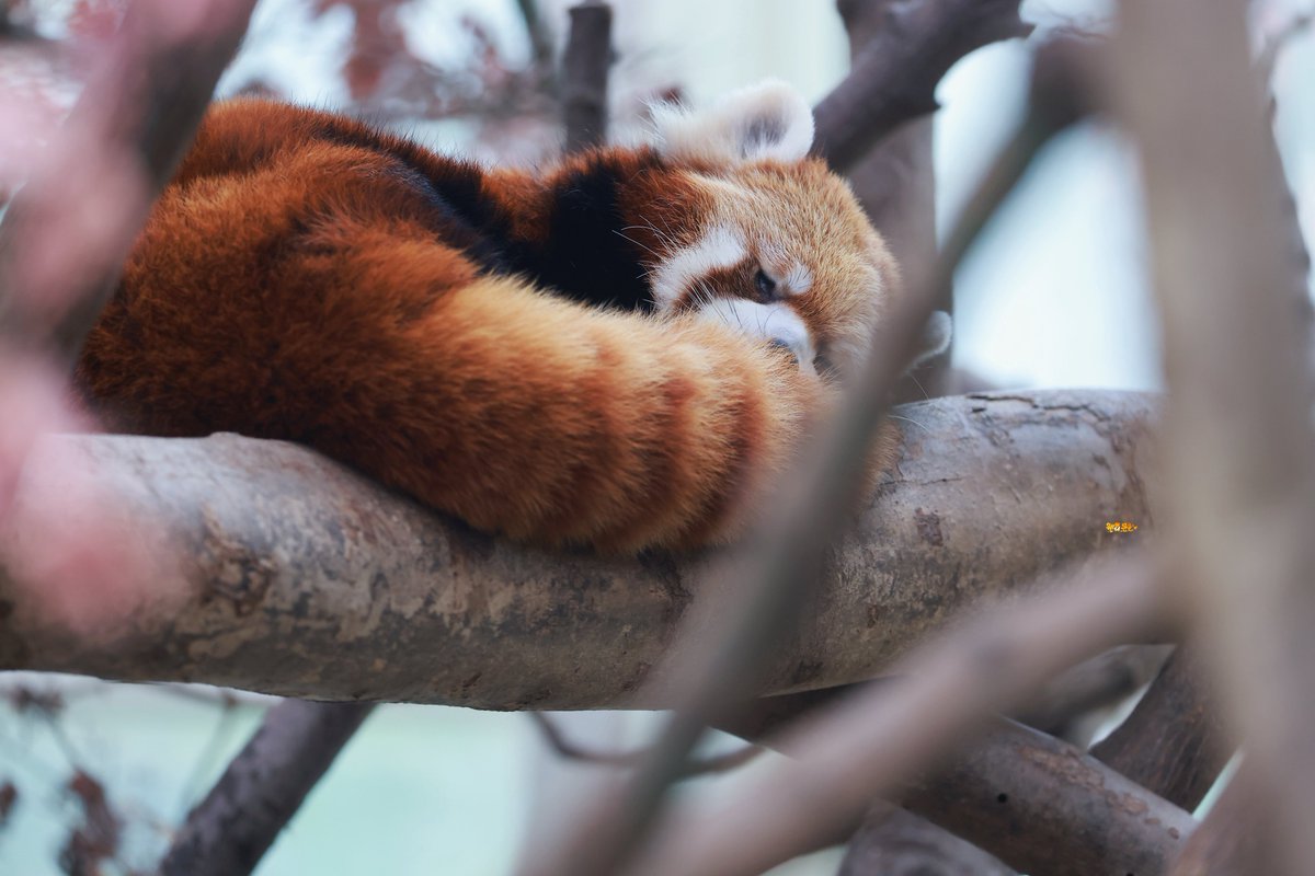 KWAN_UN🍊 tweet media