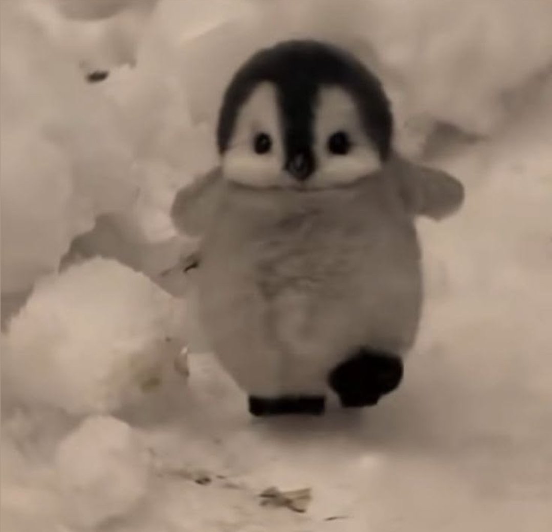 404 Liquidity tweet media