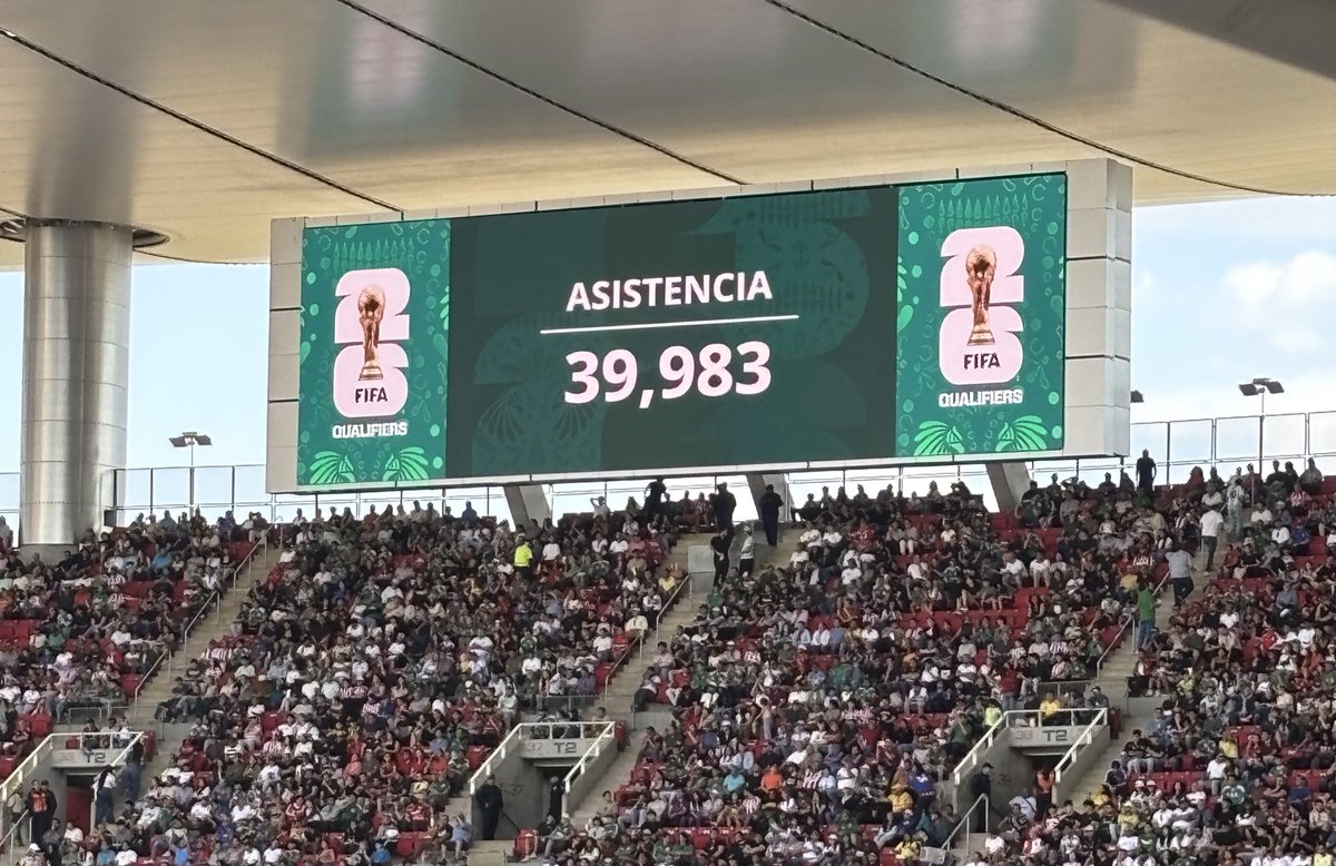 Patricia Gallardo tweet media