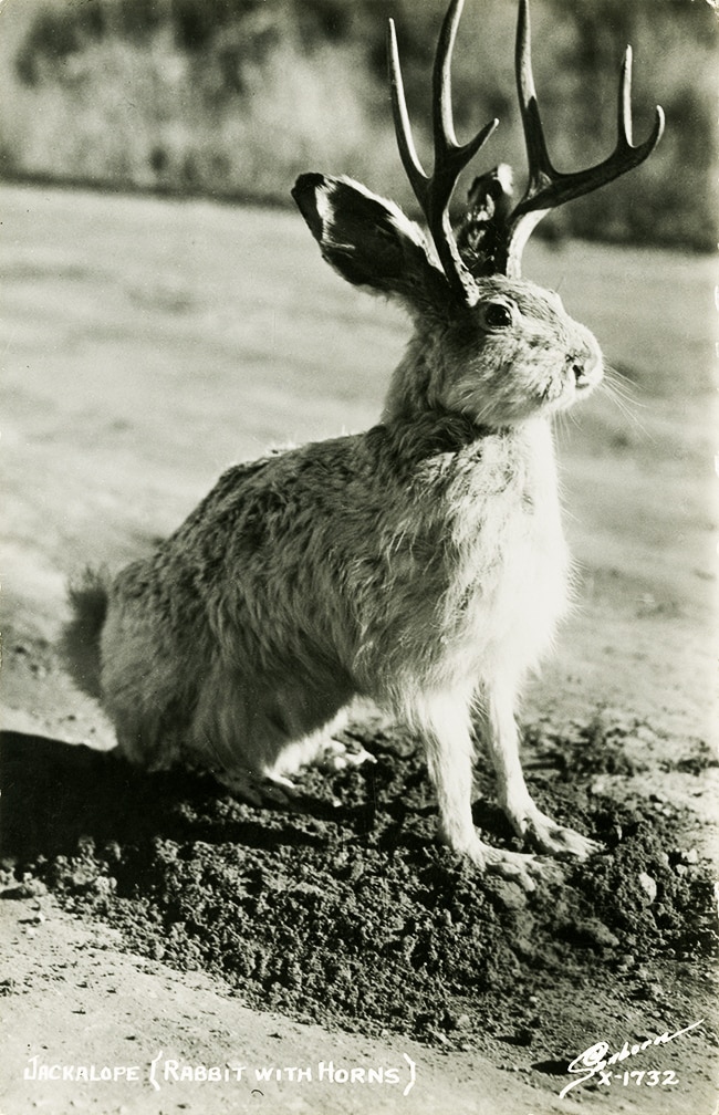 Benign Numbers Station tweet media