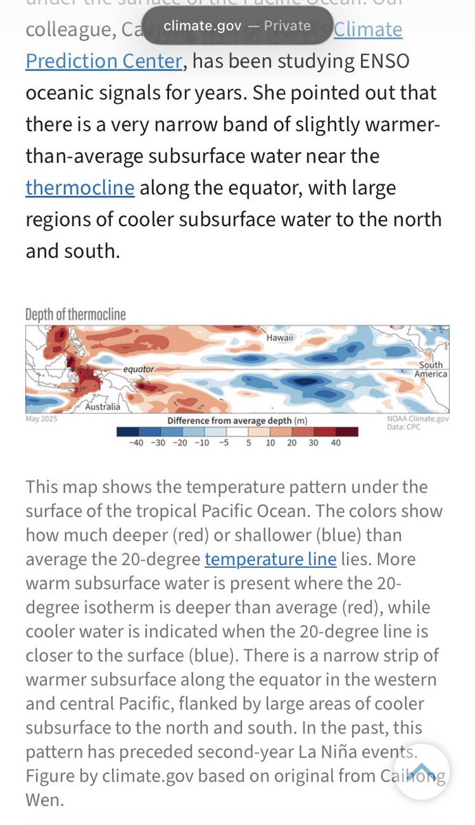 FD2you 👀 tweet media