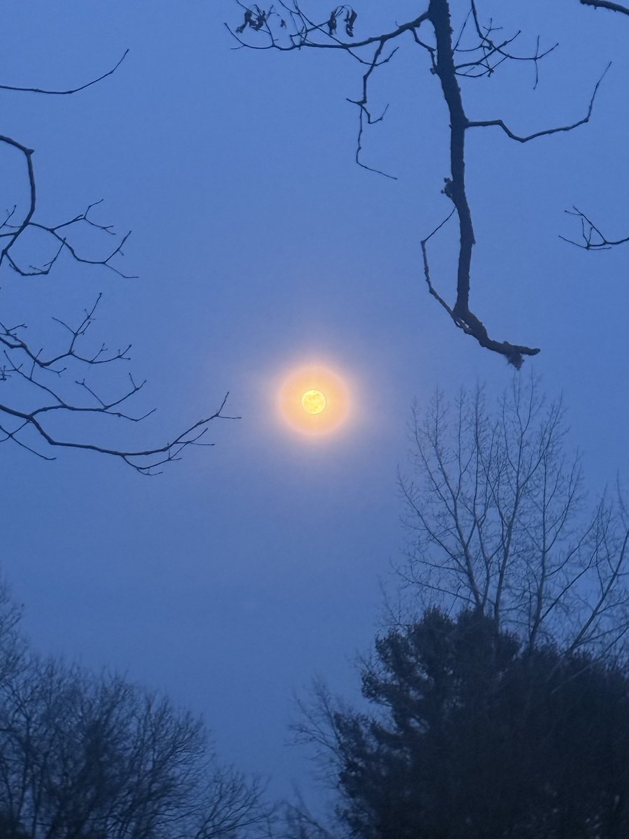 codexsananda's tweet photo. ✨🌕🌙🌕✨ https://t.co/wTDuTF0hYE