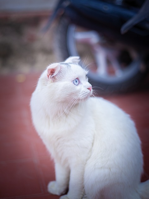 Johnny Innocent tweet media