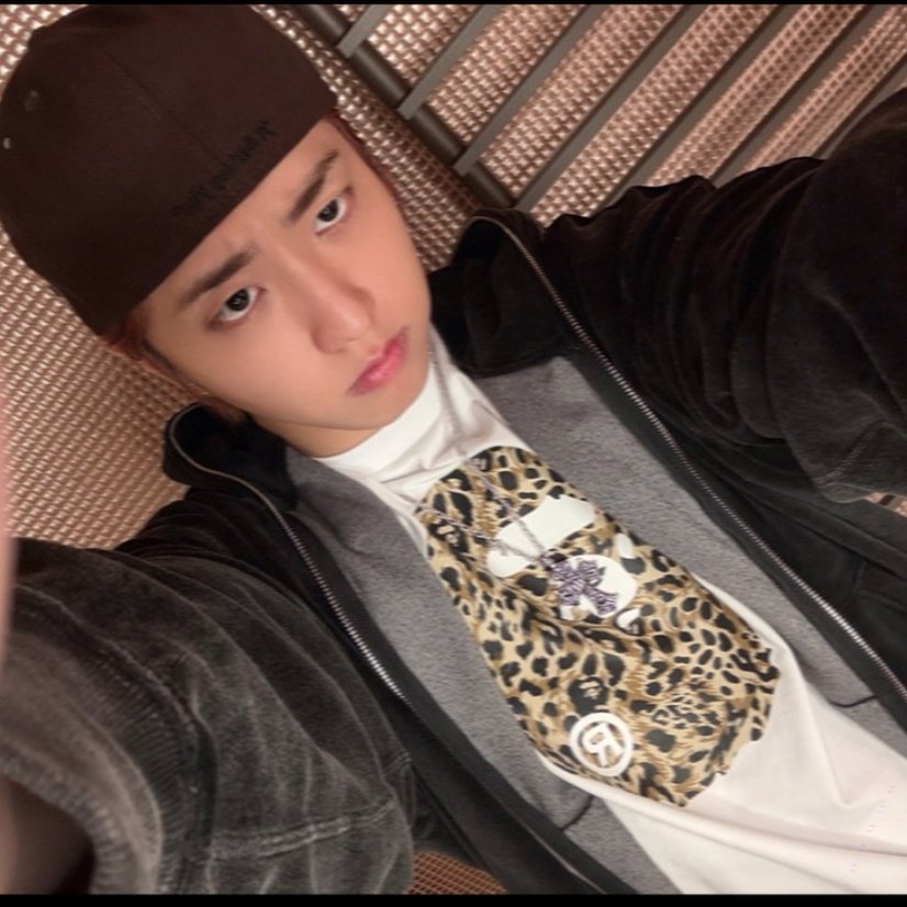 ꩜ ella.ᐟ alfa do jisung 📌 ˖ ࣪⊹ tweet media