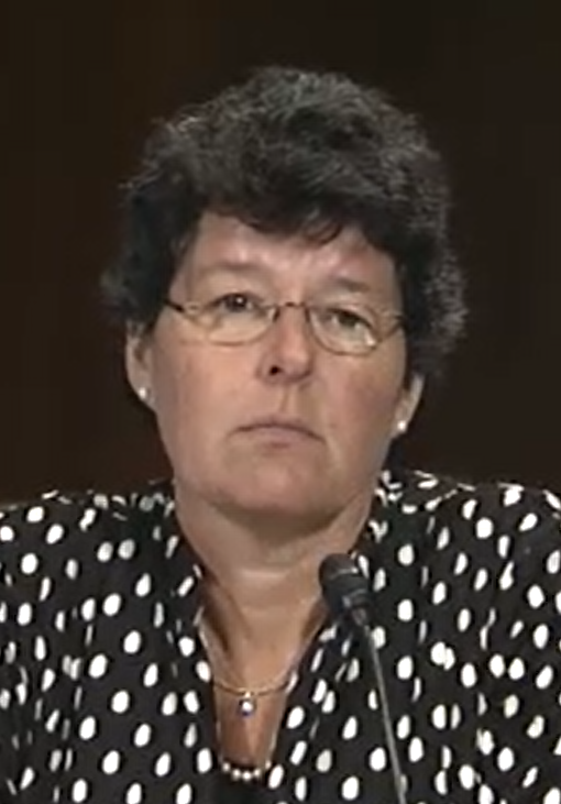 QThestorm tweet media