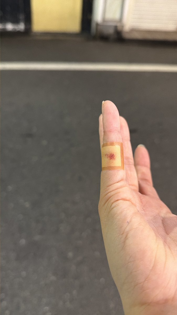 【Rishen】夜白レイ🐺 tweet media