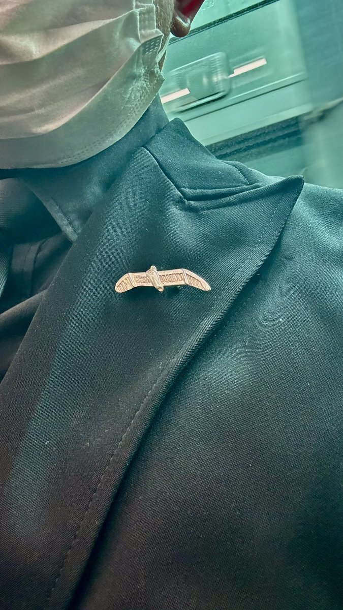 hachiya's tweet photo. 今年修了の平野真美さんが作ってくれたブローチつけて、辞令交付式へ。 https://t.co/qdPpKQiKxR