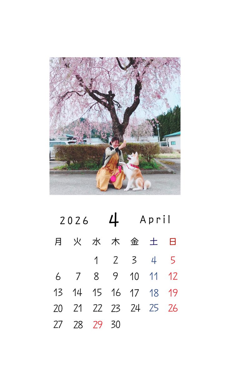 秋田犬ジェイ公式アカウント「ジェイナビ」 tweet media