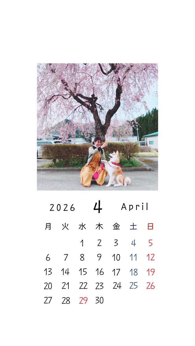 秋田犬ジェイ公式アカウント「ジェイナビ」 tweet media