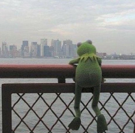 Lu 🔬🐈⬛🐈 tweet media