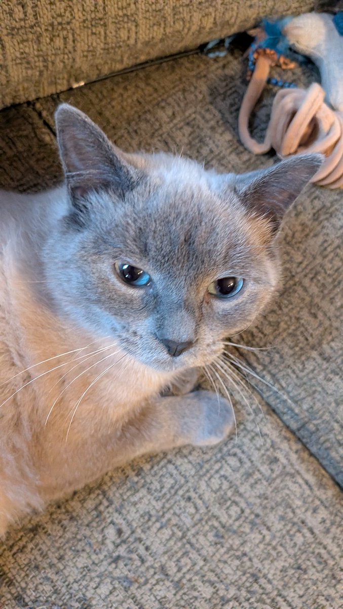 FaeKun ❤︎ tweet media