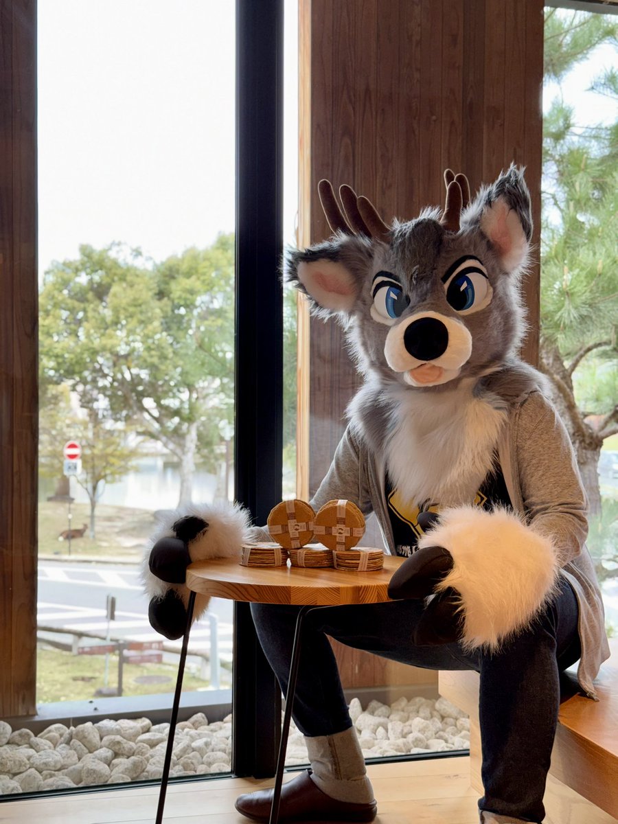 🦌 Riley 🦌🔜Thaitails🇹🇭, 大阪🇯🇵 tweet media