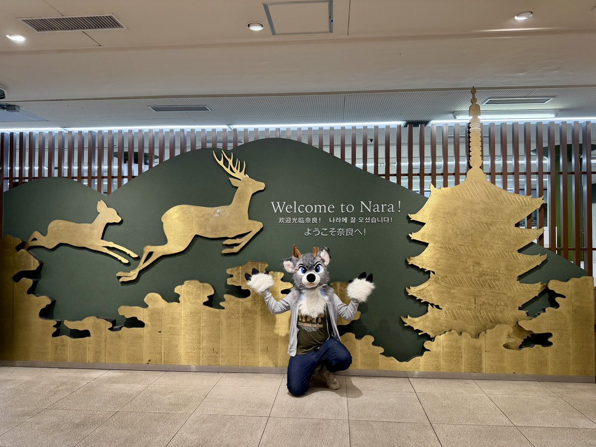 🦌 Riley 🦌🔜Thaitails🇹🇭, 大阪🇯🇵 tweet media