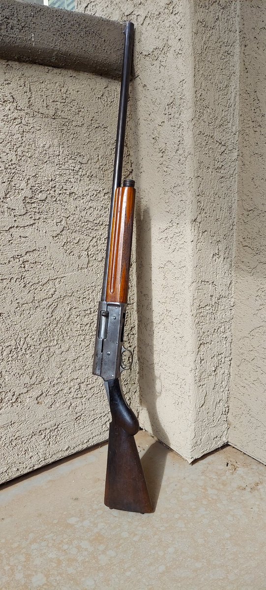 vulpinaut tweet media