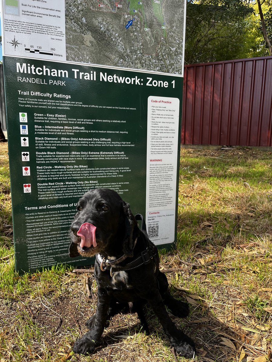 Patrick F Conlon tweet media